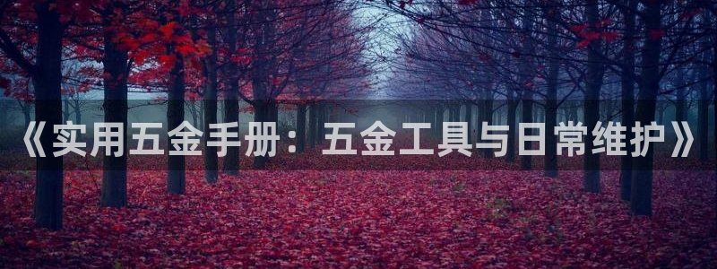 琳琅AV娱乐
