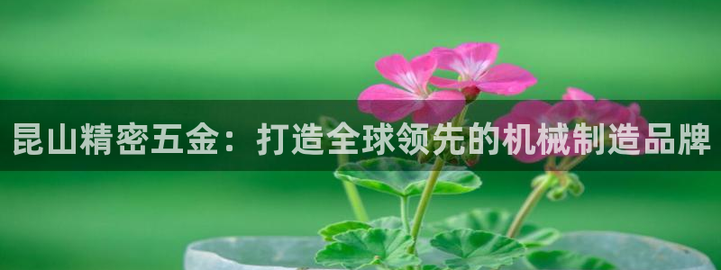 琳琅天上qq飞车娱乐