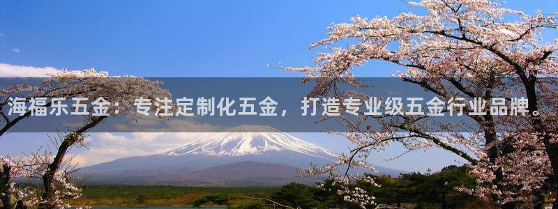 琳琅娱乐组飞车