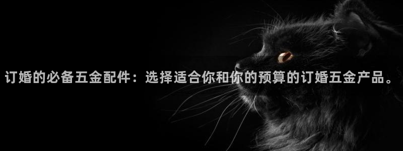 琳琅科技娱乐机器人插件