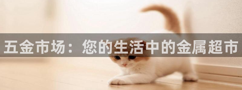 娱乐从琳琅榜开始