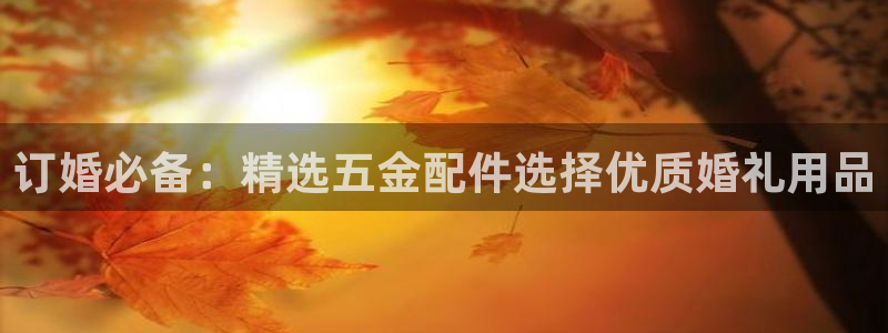 琳琅QQ娱乐机器人
