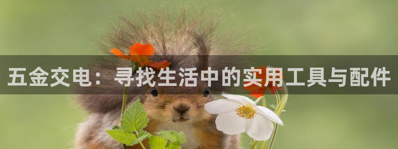 琳琅娱乐开户