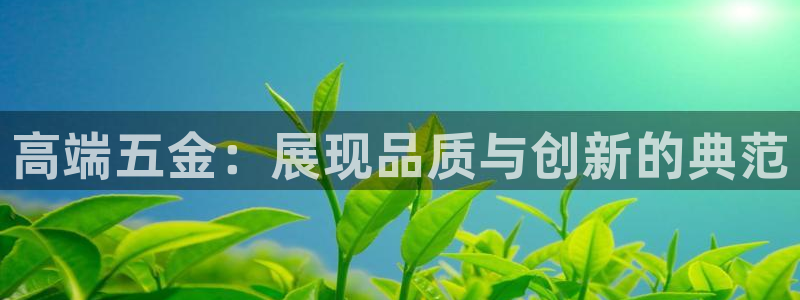 琳琅满目的娱乐设施