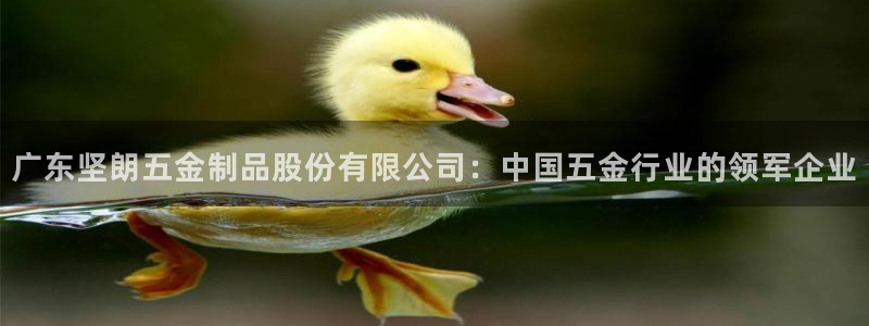 琳琅娱乐工作室