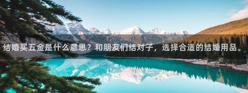 琳琅科技娱乐机器