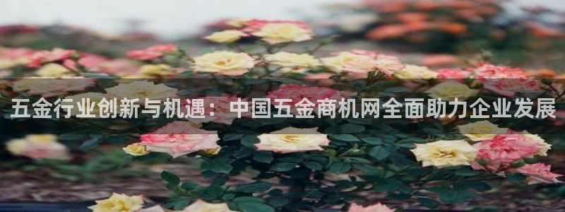 琳琅娱乐工作室地址查询