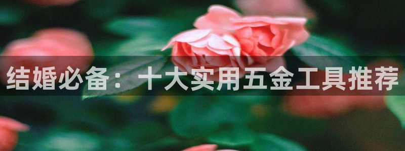 琳琅娱乐机器人