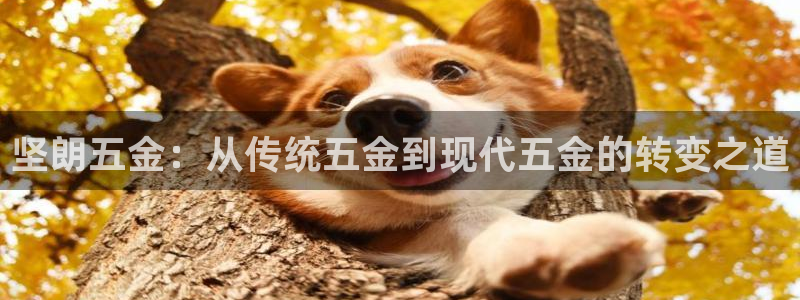 杭州琳琅互动娱乐