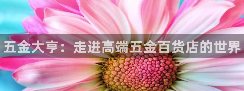 琳琅国际娱乐会所地址