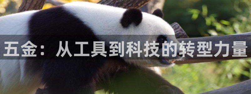琳琅娱乐在哪直播