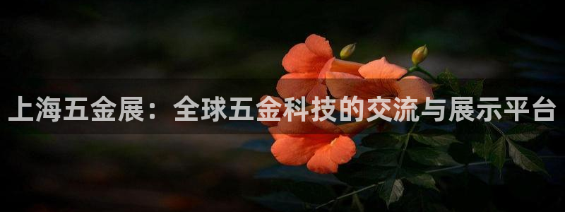 琳琅娱乐主管是谁