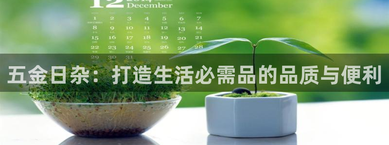 琳琅科技娱乐