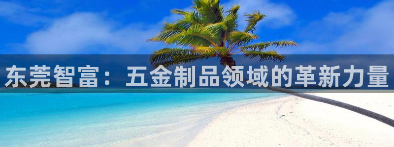 qq飞车琳琅娱乐组