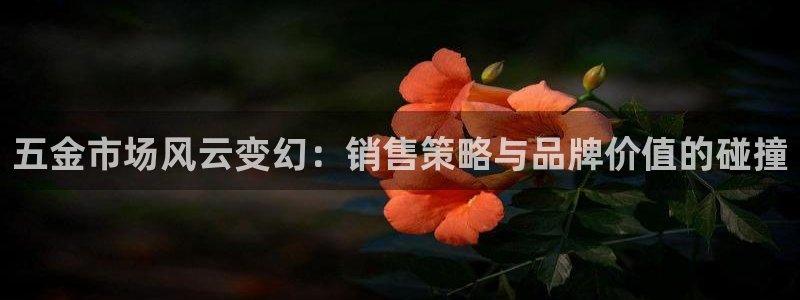 琳琅娱乐a