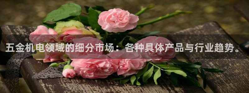 琳琅科技娱乐机器人下载