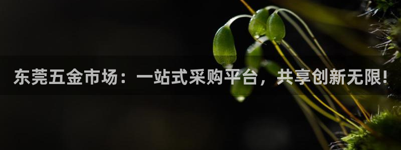 琳琅娱乐 全麦优质