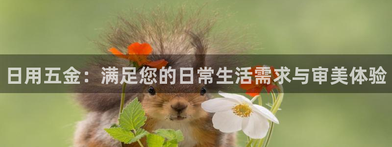 青娱娱乐琳琅导航