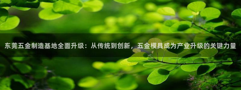 琳琅娱乐代理怎么样