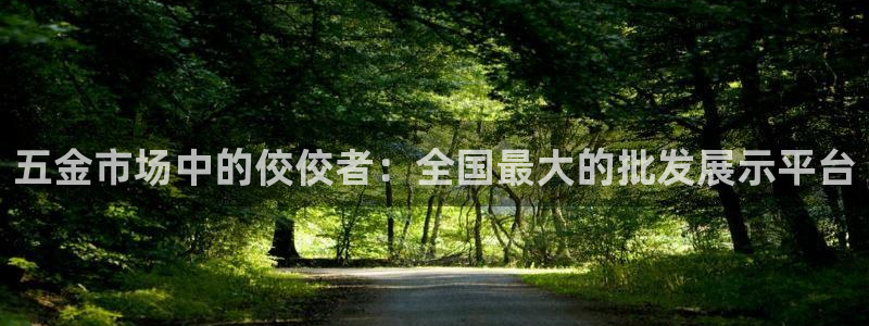 琳琅娱乐机器人