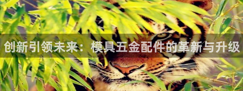 琳琅娱乐平台怎么样啊