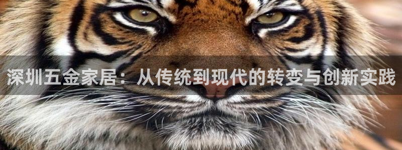 琳琅娱乐600