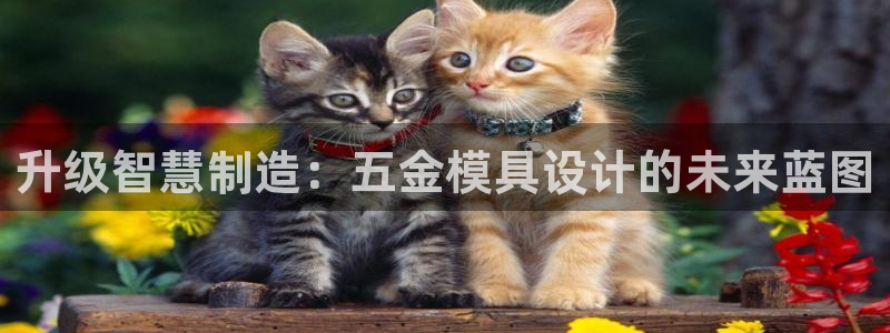 琳琅娱乐代理21192