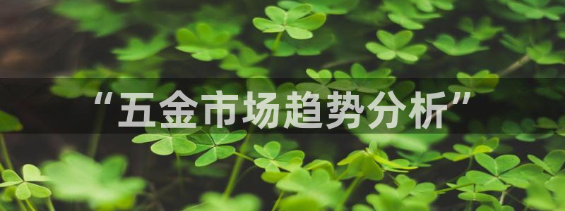 琳琅娱乐主管