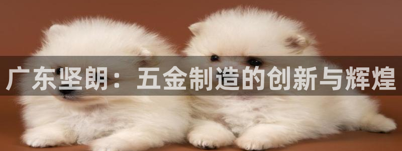 琳琅娱乐平台是真的吗