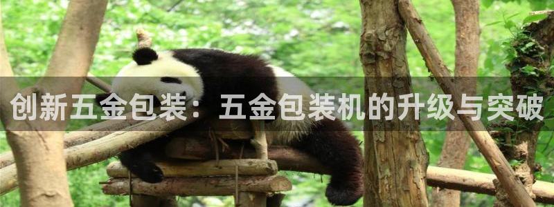 琳琅娱乐平台怎么样啊