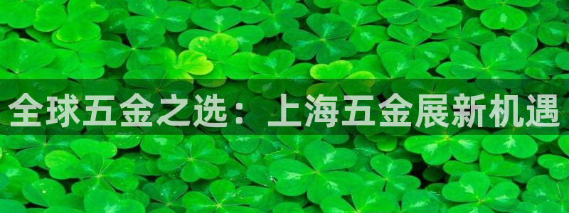 琳琅娱乐代理21192