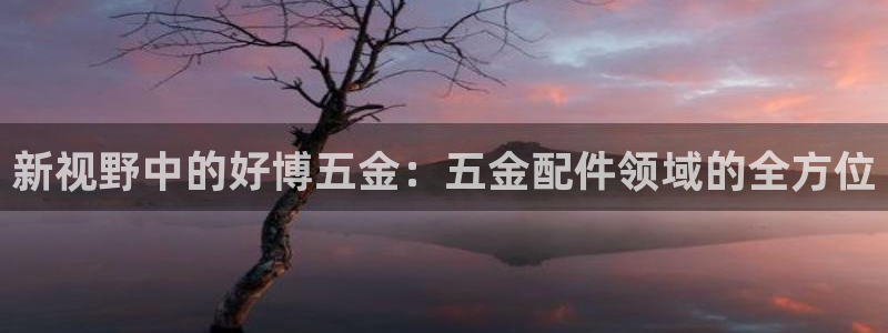 琳琅娱乐代理人是谁