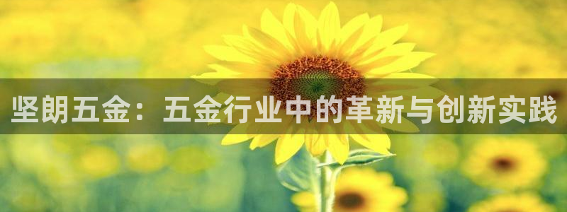 琳琅娱乐怎么样