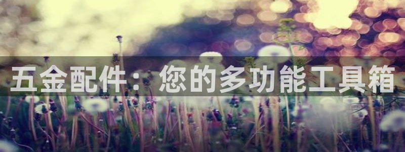 琳琅娱乐平台帐7O777