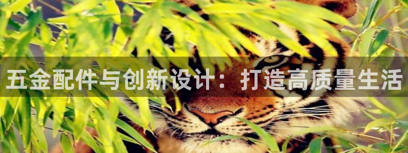 qq飞车琳琅娱乐组