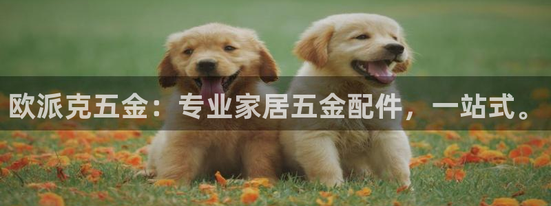 琳琅娱乐平台怎么样