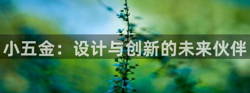 琳琅科技娱乐机器人