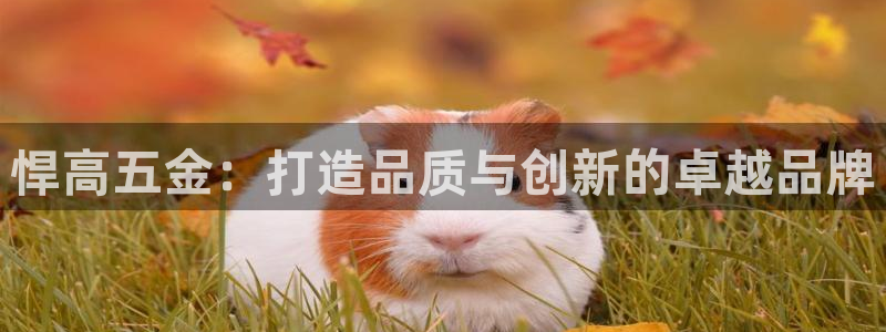 琳琅娱乐平台怎么样知乎