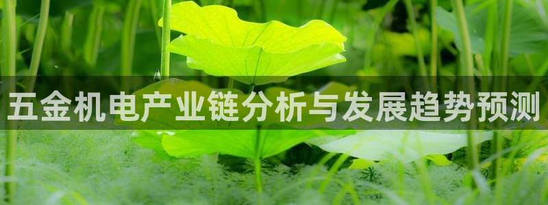 琳琅娱乐平台是真的吗