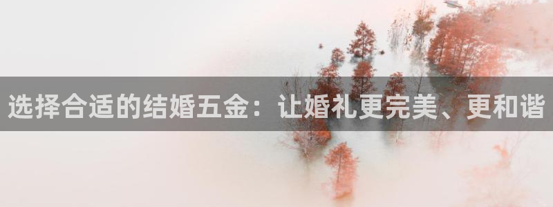 琳琅天上qq飞车娱乐