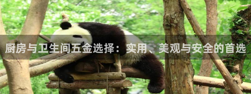 琳琅娱乐代理怎么样