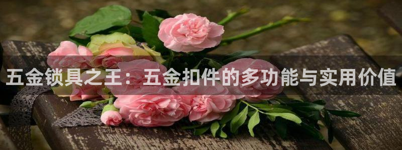 琳琅娱乐温柔乡网站