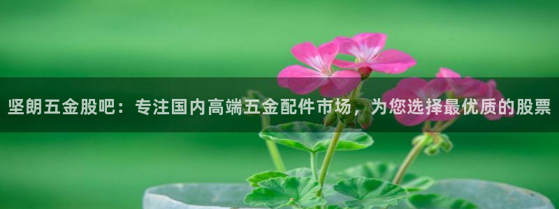 琳琅娱乐工作室怎么样啊