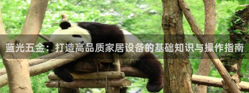 琳琅娱乐在哪直播