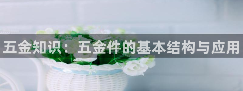 杭州琳琅互动娱乐