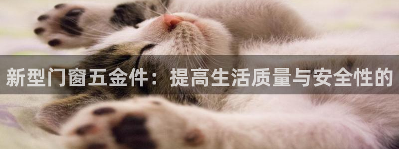 琳琅娱乐导航