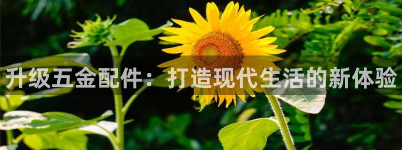 qq飞车琳琅娱乐组