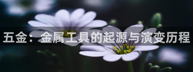 琳琅国际娱乐会所电话