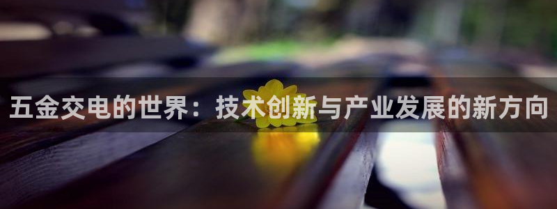 琳琅娱乐场所在哪里