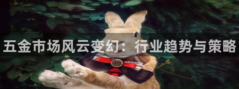 琳琅娱乐社区